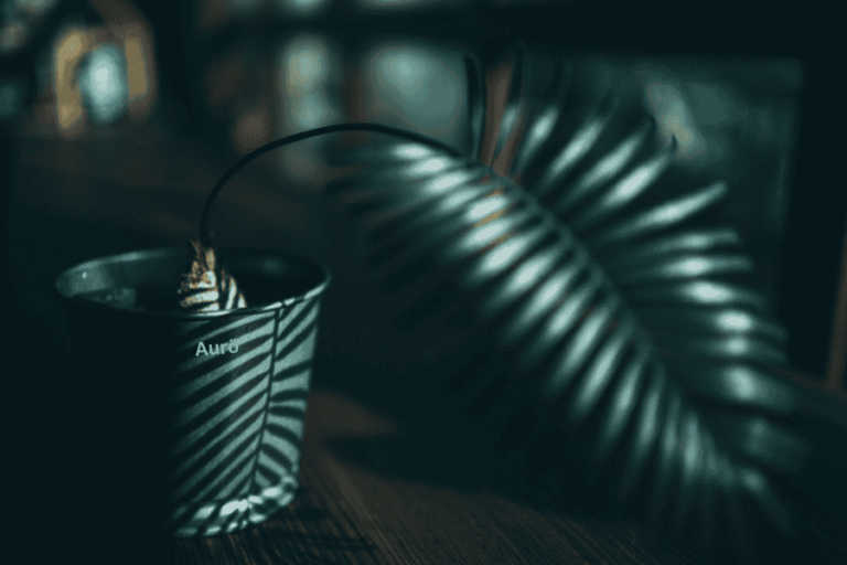 What is Aurö? Origins, Meaning, and Modern Significance Aurö