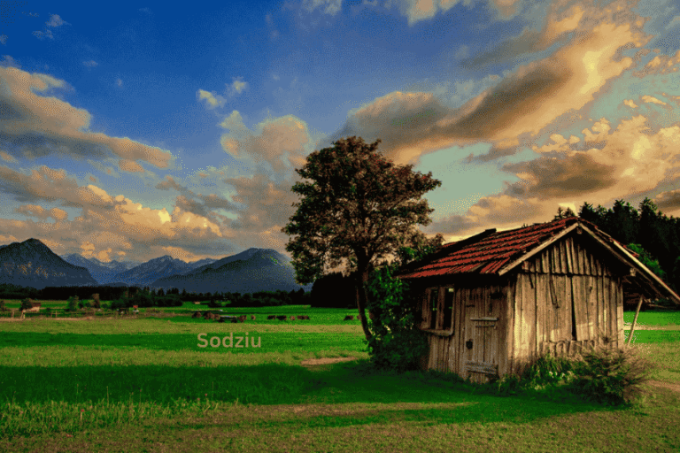 Sodziu: Lithuania’s Quiet Legacy Lives On Sodziu